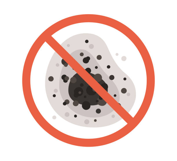 Best Indoor Air Quality Assessment  in Huntington Woods, MI