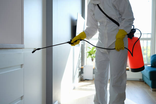 Best Environmental Consulting for Mold Prevention  in Huntington Woods, MI