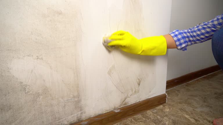 Best Crawl Space Mold Remediation  in Huntington Woods, MI