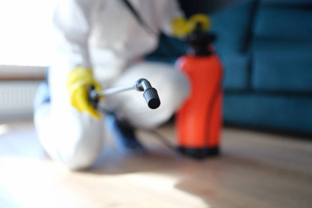 Best Mold Removal for HVAC Installations  in Huntington Woods, MI