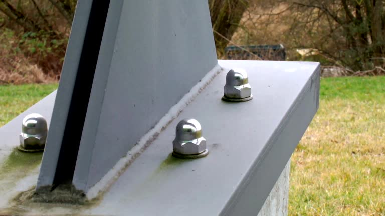 Trusted Huntington Woods, MI Mold Removal Experts
